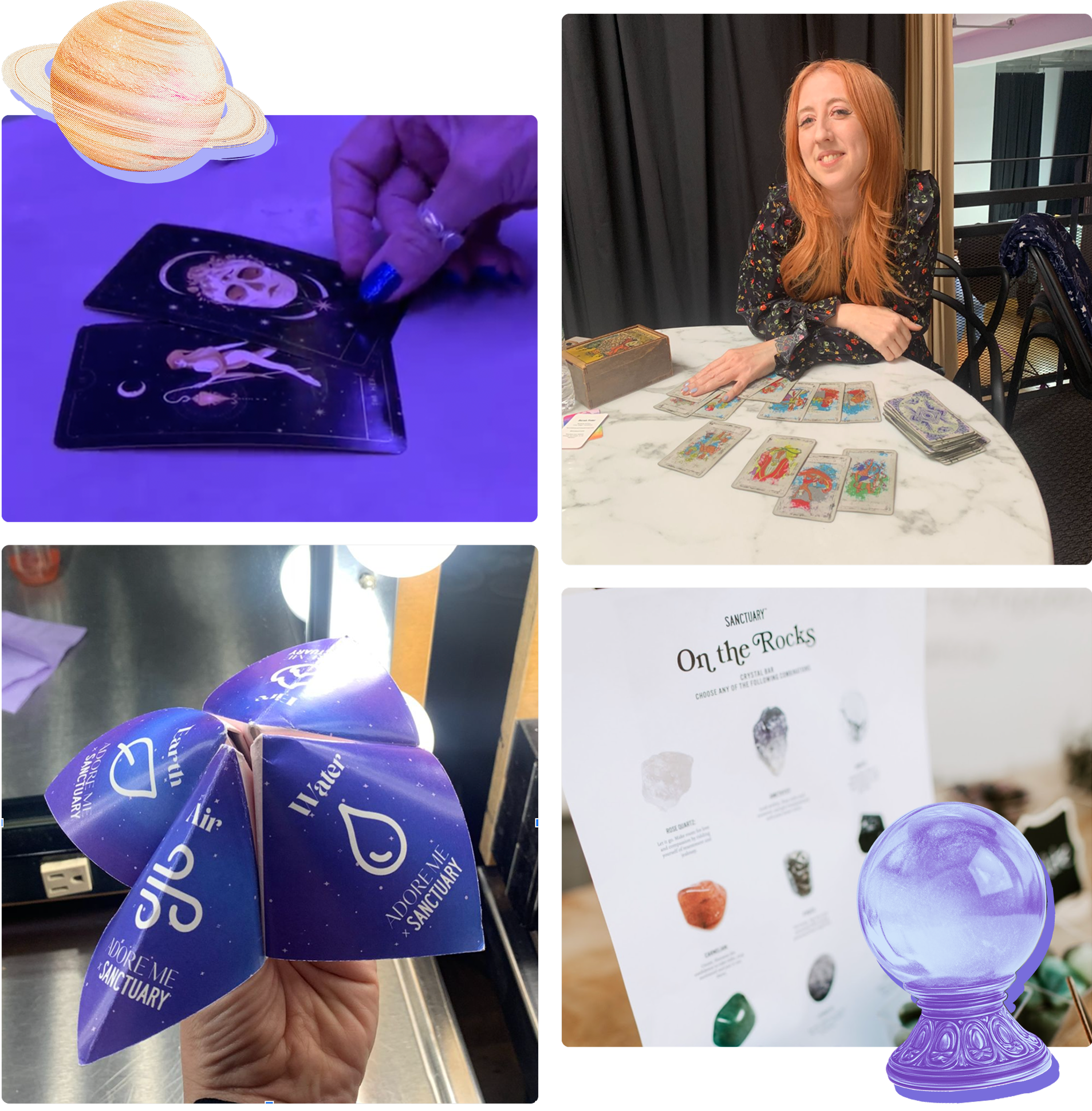 Partner with sanctuary